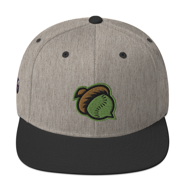 Mighty Oaks of Connecticut Snapback Hat