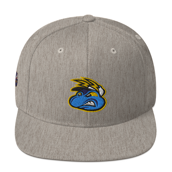 Springfield Fireflies Snapback Hat