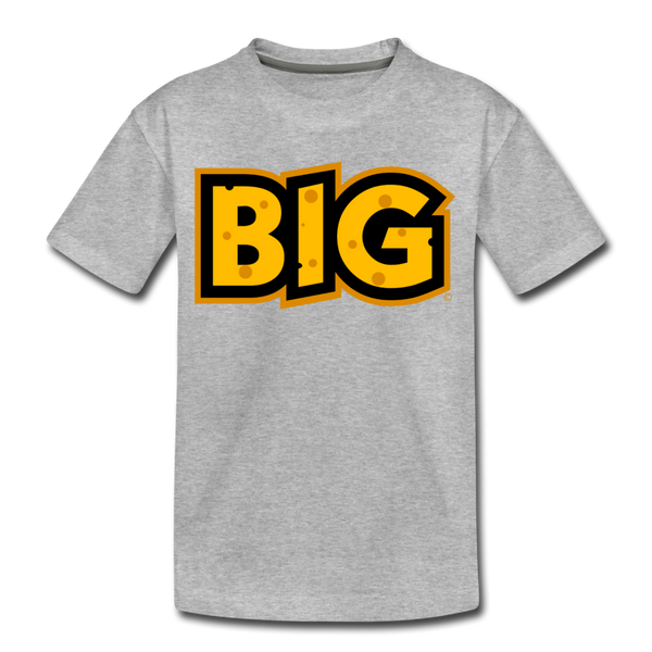 Wisconsin Big Cheese BIG Kids' Premium T-Shirt - heather gray