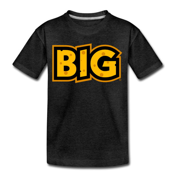 Wisconsin Big Cheese BIG Kids' Premium T-Shirt - charcoal gray